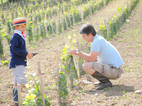 Les Vignes du Repaire de Noblat