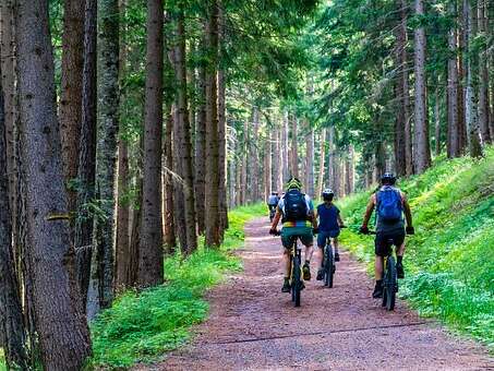 Location de VTT au Camping du Lac