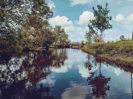 A la découverte du marais du Guâ