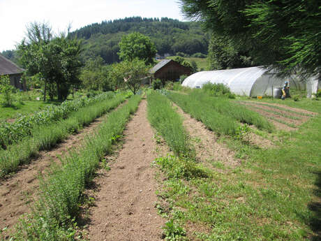 Le Jardin du Centaure