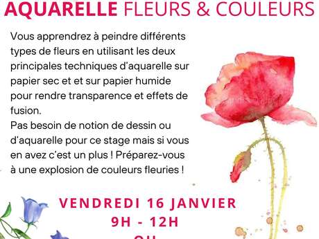 Stage dessin-peinture : Aquarelle, Fleurs et Couleurs par Floriane VIRGO
