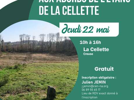 Sortie Botanique