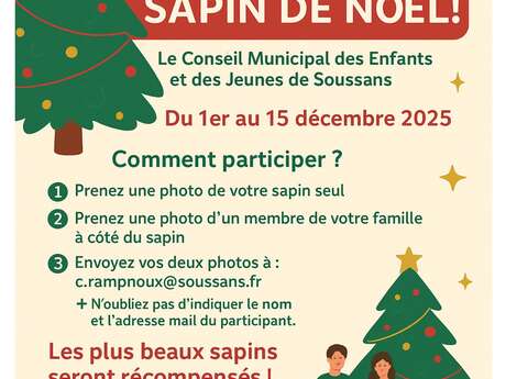 Concours du plus beau sapin de Noël