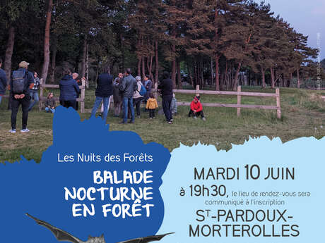 Balade nocturne en forêt