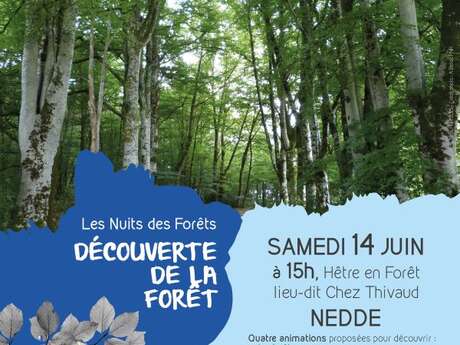 Les Nuits des Forêts : Découverte de la forêt