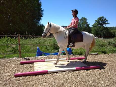 Centre équestre "Les Chevaux de Chamousseau" à Château-Chervix