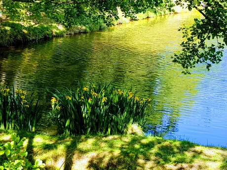 Circuit découverte des pêcheries et levades sur les herbages limousins