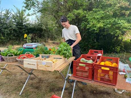 La Ferme d'Adeline et Benjamin - Légumes de saison, plantes à parfum, aromatiques et médicinales