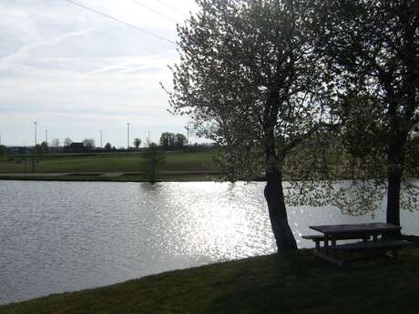 Aire de pique nique au bord de l'étang