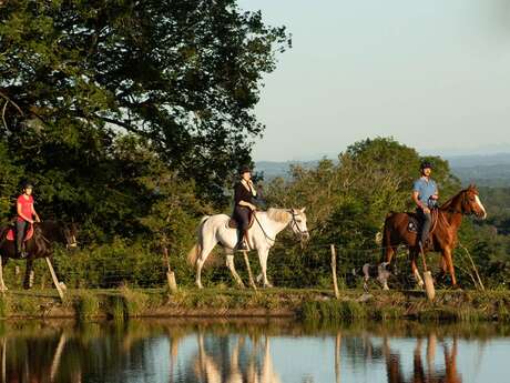 Haras Vie Passion