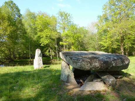 Aire de pique nique aux dolmen et menhir