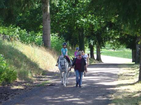 Equitation, poney-club - Ecurie des Forêts