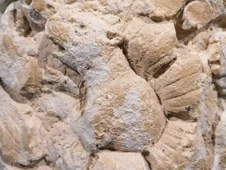 Les vacances au musée