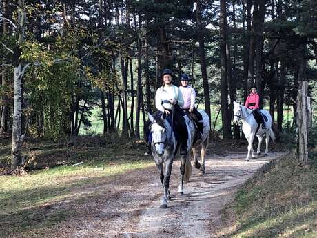 Centre équestre Cheval de Cœur