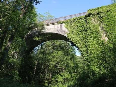 Balade sur les berges de l'Isle