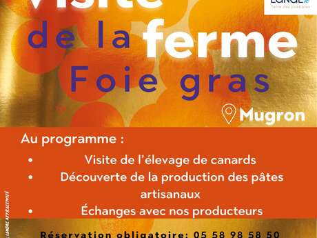 Visite de la ferme du Foie gras (ferme et pâtes) - Les Automnales du foie gras