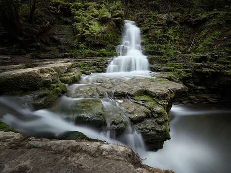 Comprendre la gestion et l'entretien des cours d'eau
