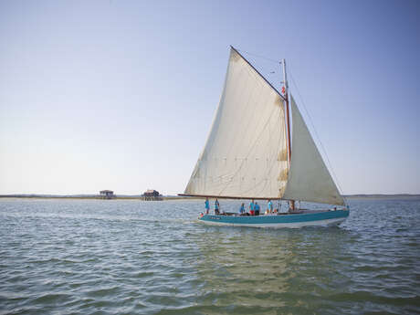 Voile