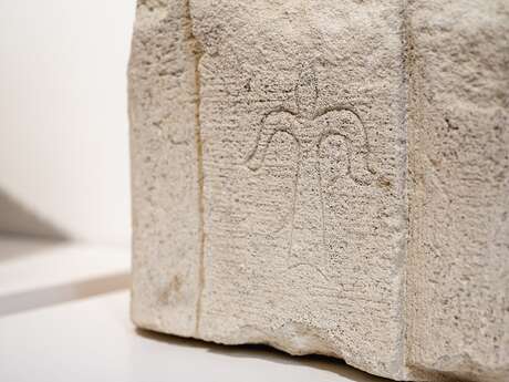 Atelier en famille - Empreintes et motifs