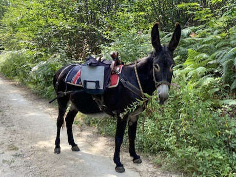 Aux Âneries de Dordonie