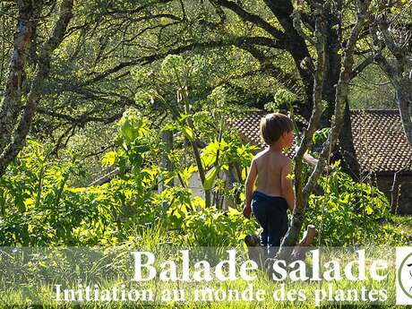 Balade salade – Initiation au monde des plantes