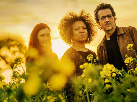 Jazz Off' | Bruno Angelini trio "Lotus Flowers"