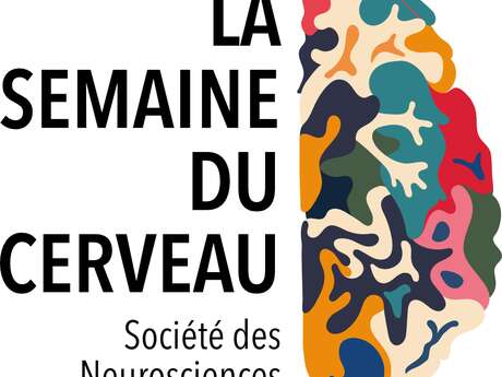 La mémoire, apprendre pour survivre - Semaine du Cerveau 2025 - Limoges