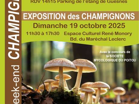 Week-end Champignons