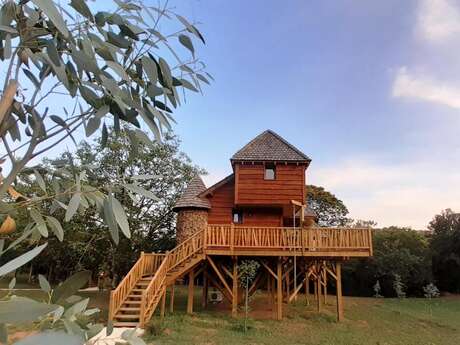 Cabane perchée Tobago