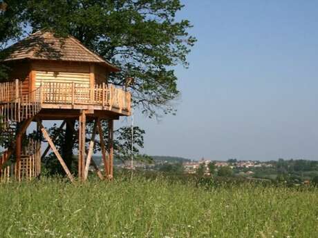 Cabanes perchées dans les arbres