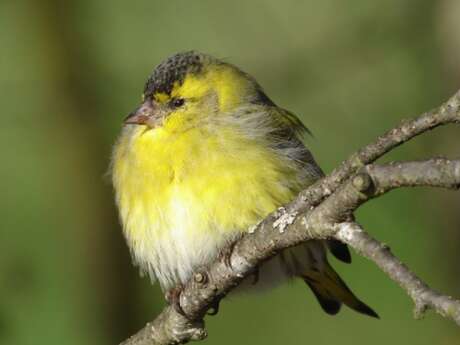 Sortie Bords de Vienne