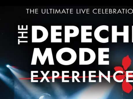 The depeche mode experience