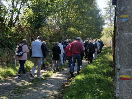 Festival du Haut Limousin - Rendez-vous nature et patrimoine - De Mortemart à Montrol-Sénard