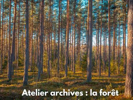 Atelier archives : la forêt d'Arcachon