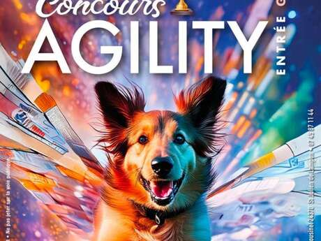 Concours Agility au camping Le Bourniou - Saint Julien de Lampon