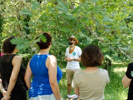 letourdesoi - Les Escapades Dili-jantées