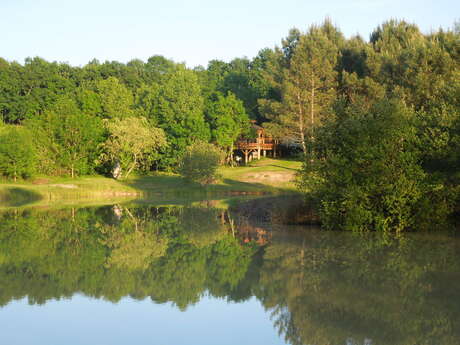 Gîte  Au Petit Bois