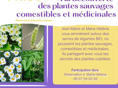 A la découverte des plantes sauvages, comestibles et médicinales
