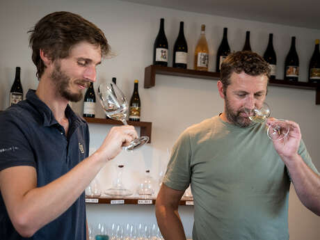 Domaine Albert de Conti