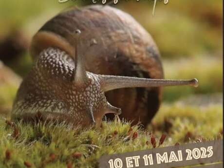 Expo photo & co "Beautés sauvages"