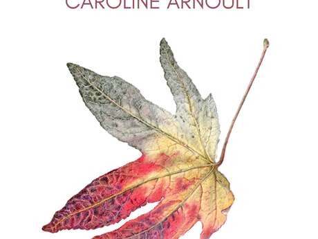 Exposition "Nature et calligraphie" de Caroline Arnoult