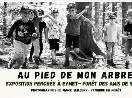 Exposition | Au pied de mon arbre - Photographies