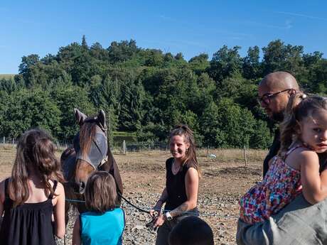 Cours particulier d'équitation