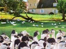 Ferme Minard