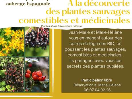 à la découverte des plantes sauvages comestibles et médicinales