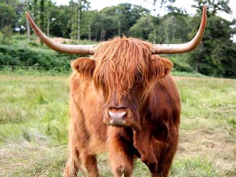 Ferme des Highlands