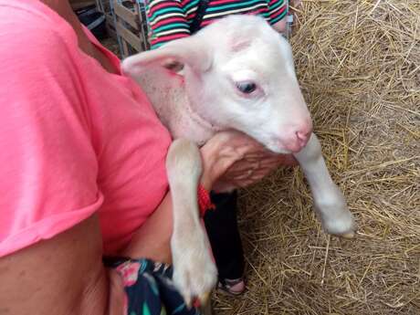 Les visites de fermes en Pays de Saint-Aulaye et en Périgord Ribéracois