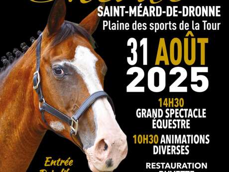 Fête du Cheval