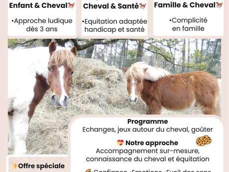 Les Crins d'Helaki fêtent le Poney !