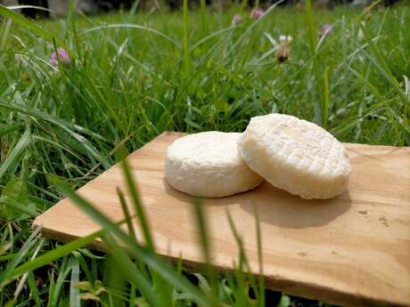 La Ferme à roulettes | Atelier Petit Fromager